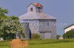 Melita area farm
July 2010